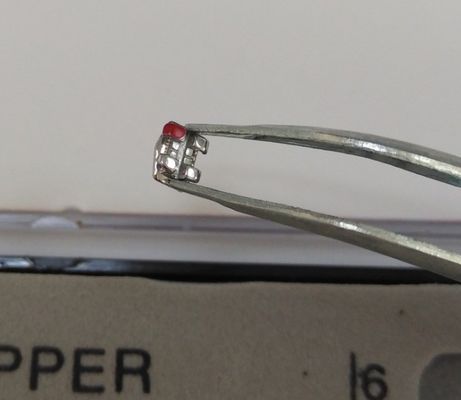 歯科クリニック/病院/歯医者のための金属ブラシ DTCオルホーの最高級製品